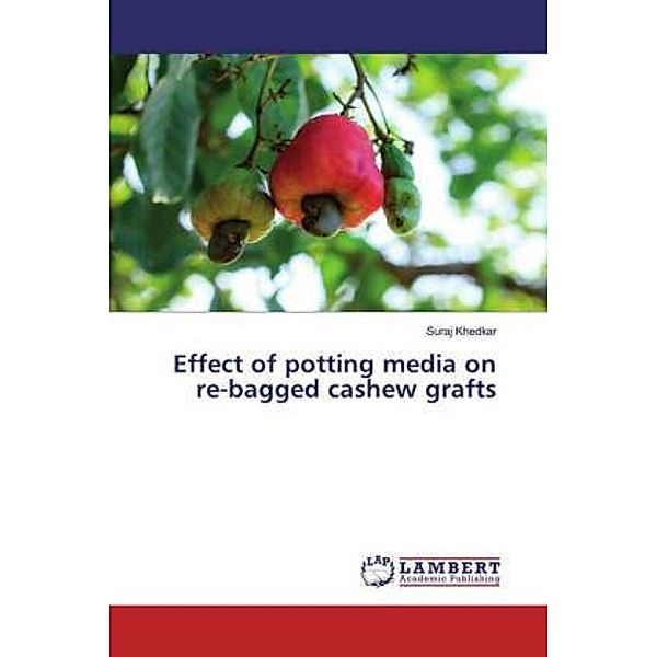 Effect of potting media on re-bagged cashew grafts, Suraj Khedkar