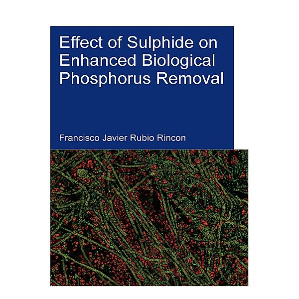 Effect of Sulphide on Enhanced Biological Phosphorus Removal, Francisco Javier Rubio Rincon