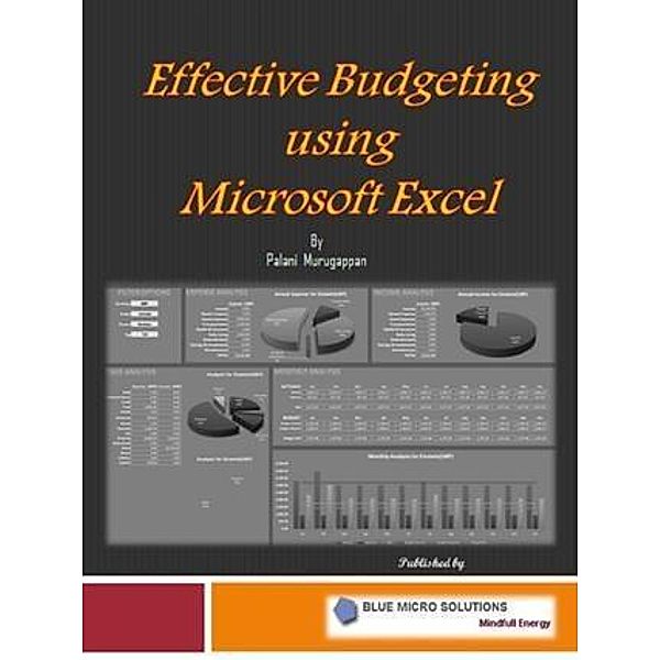 Effective Budgetingusing Microsoft Excel, Author