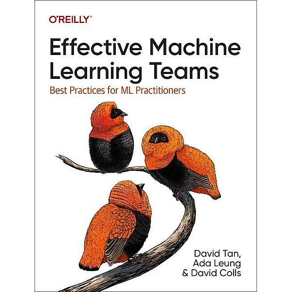 Effective Machine Learning Teams, David Tan, Ada Leung