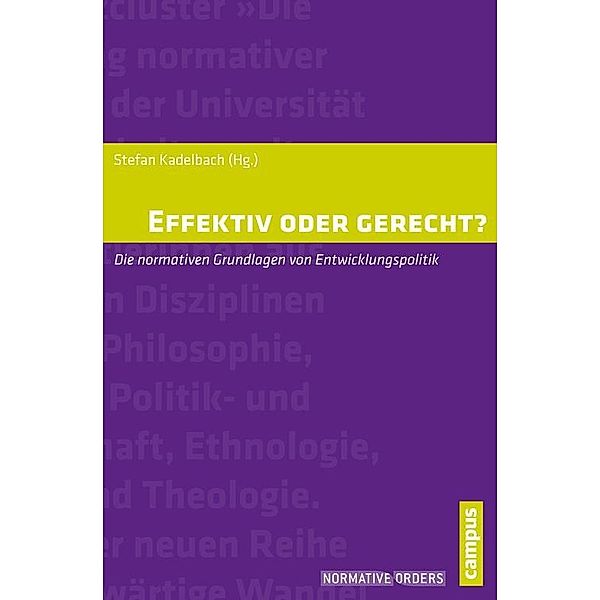 Effektiv oder gerecht? / Normative Orders Bd.11