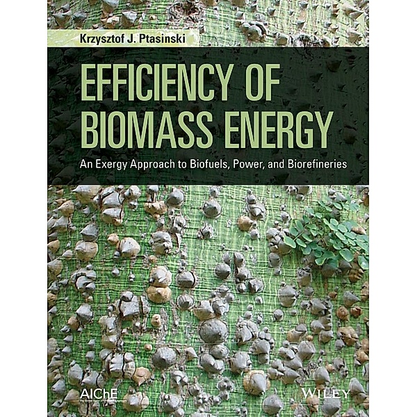 Efficiency of Biomass Energy, Krzysztof J. Ptasinski