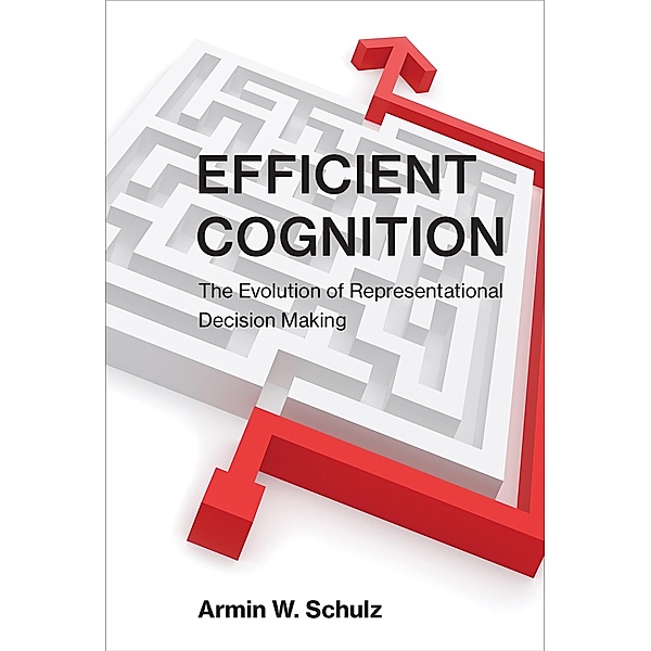 Efficient Cognition, Armin W. Schulz