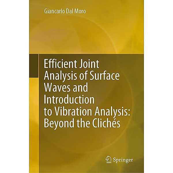 Efficient Joint Analysis of Surface Waves and Introduction to Vibration Analysis: Beyond the Clichés; ., Giancarlo Dal Moro
