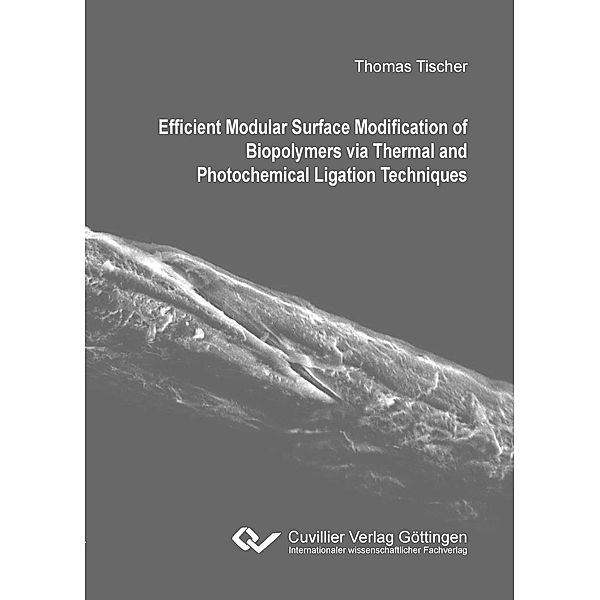 Efficient Modular Surface Modification of Biopolymers via Thermal and Photochemical Ligation Techniques