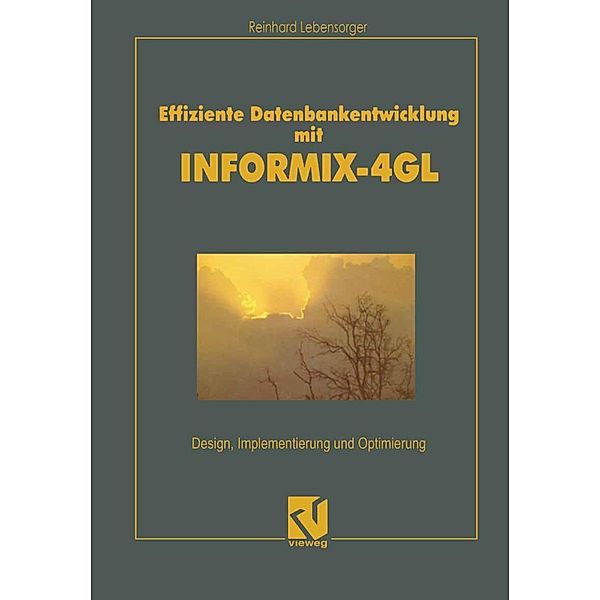 Effiziente Datenbankentwicklung mit INFORMIX-4GL, Reinhard Lebensorger