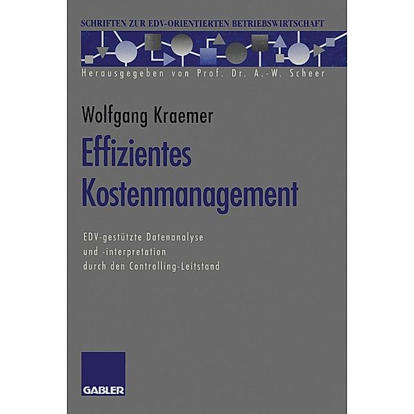 Effizientes Kostenmanagement / Schriften zur EDV-orientierten Betriebswirtschaft, Wolfgang Kraemer