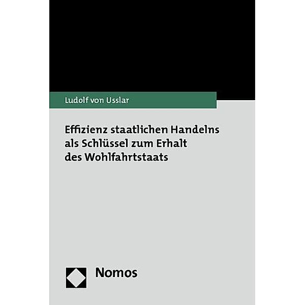 Effizienz staatlichen Handelns als Schlüssel zum Erhalt des Wohlfahrtstaats, Ludolf von Usslar