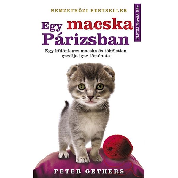 Egy macska Párizsban, Peter Gethers