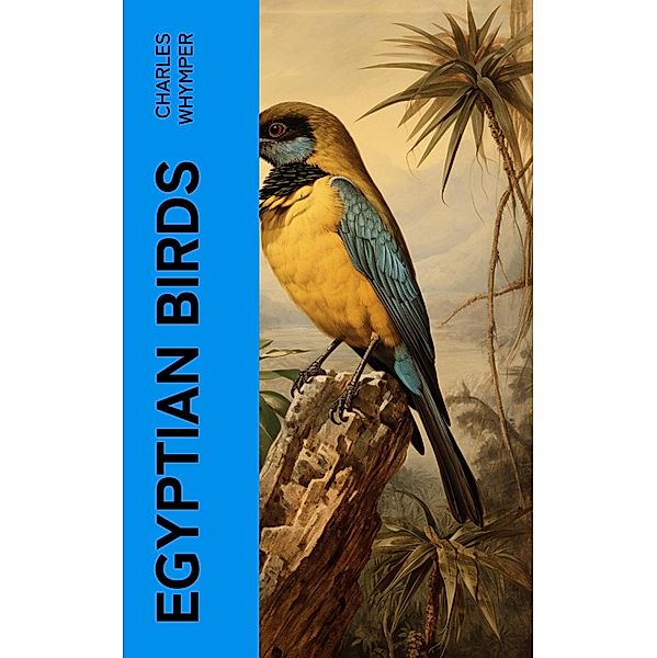 Egyptian Birds, Charles Whymper