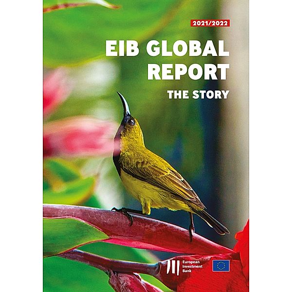 EIB Global Report: The Story