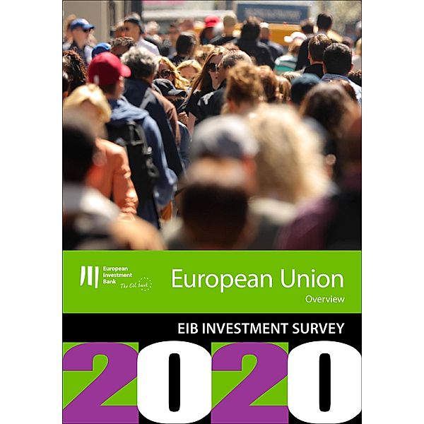 EIB Group Survey on  Investment and Investment Finance 2020: EU overview