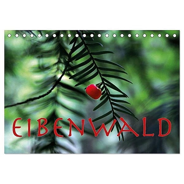 Eibenwald (Tischkalender 2024 DIN A5 quer), CALVENDO Monatskalender, Maria Reichenauer