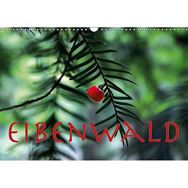 Eibenwald (Wandkalender 2019 DIN A3 quer), Maria Reichenauer