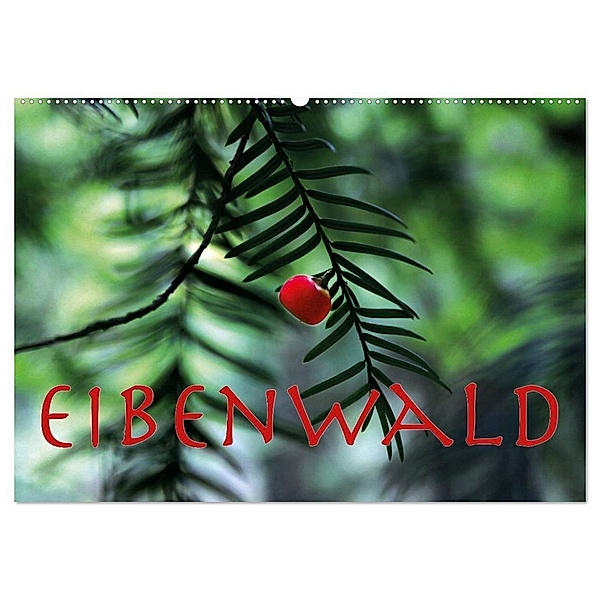 Eibenwald (Wandkalender 2024 DIN A2 quer), CALVENDO Monatskalender, Maria Reichenauer