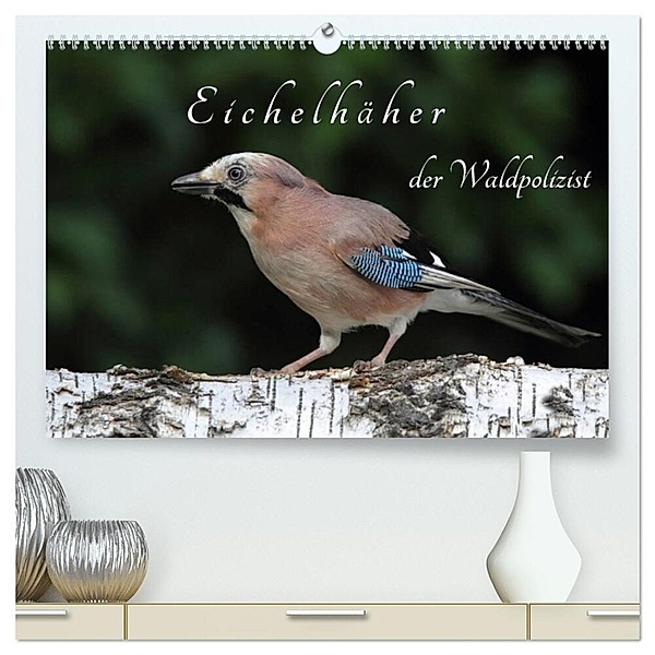 Eichelhäher der Waldpolizist (hochwertiger Premium Wandkalender 2024 DIN A2 quer), Kunstdruck in Hochglanz, Klaus Konieczka