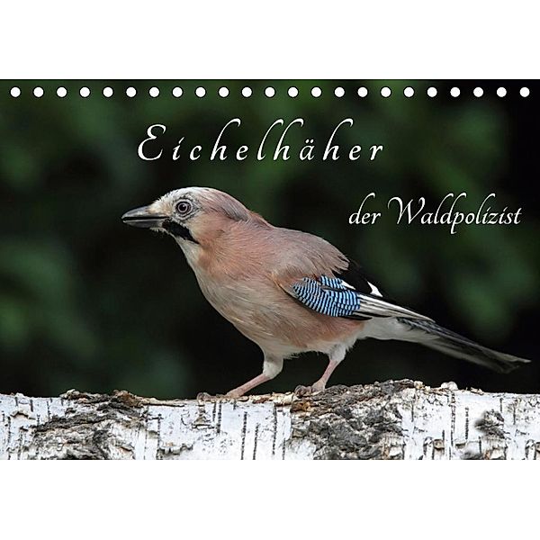 Eichelhäher der Waldpolizist (Tischkalender 2020 DIN A5 quer), Klaus Konieczka