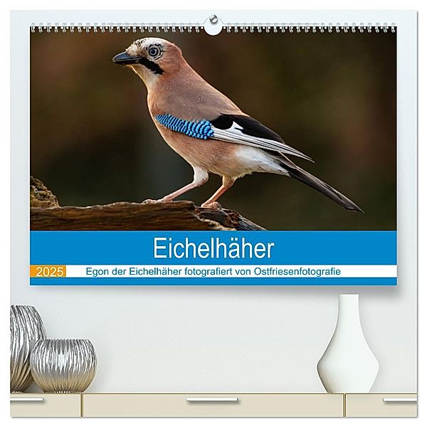 Eichelhäher - Egon der Eichelhäher fotografiert von Ostfriesenfotografie (hochwertiger Premium Wandkalender 2025 DIN A2 quer), Kunstdruck in Hochglanz, Calvendo, Christina Betten - Ostfriesenfotografie