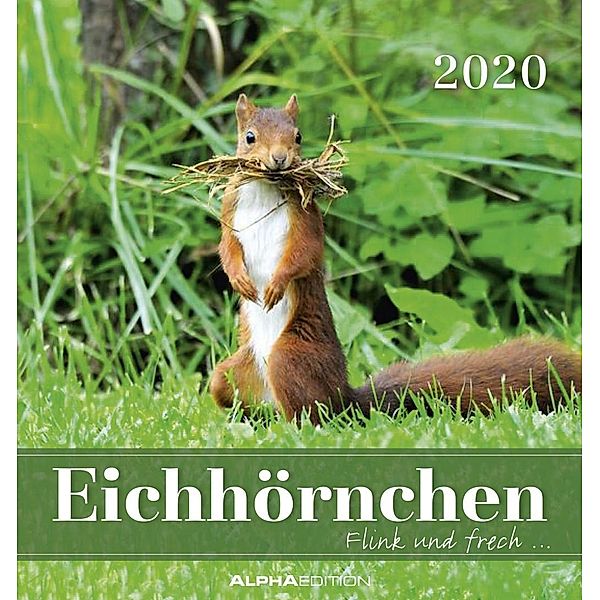 Eichhörnchen 2020, ALPHA EDITION