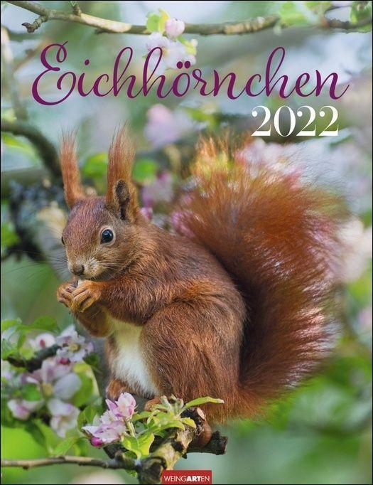 zum Aufstellen oder Aufhängen Eichhörnchen Lesezeichen & Kalender 2022 Tierkalender mit Monatskalendarium 6 x 18 cm perforierte Kalenderblätter zum Heraustrennen