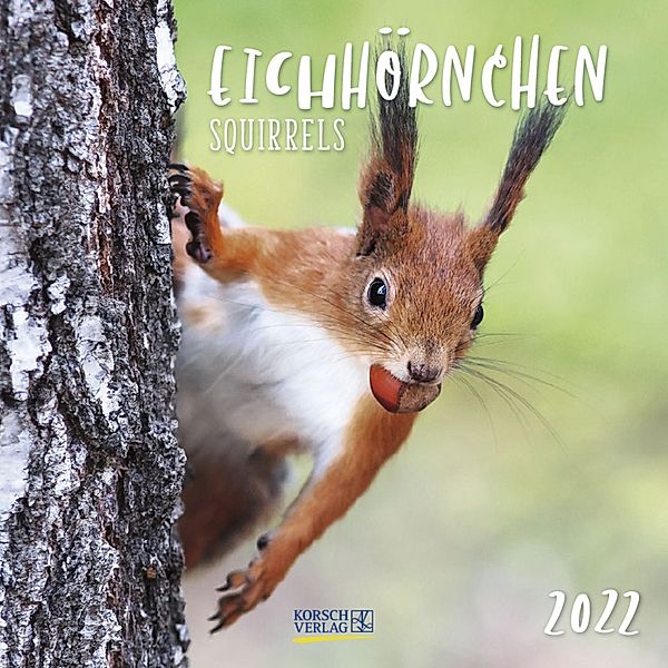 Eichhörnchen 2022