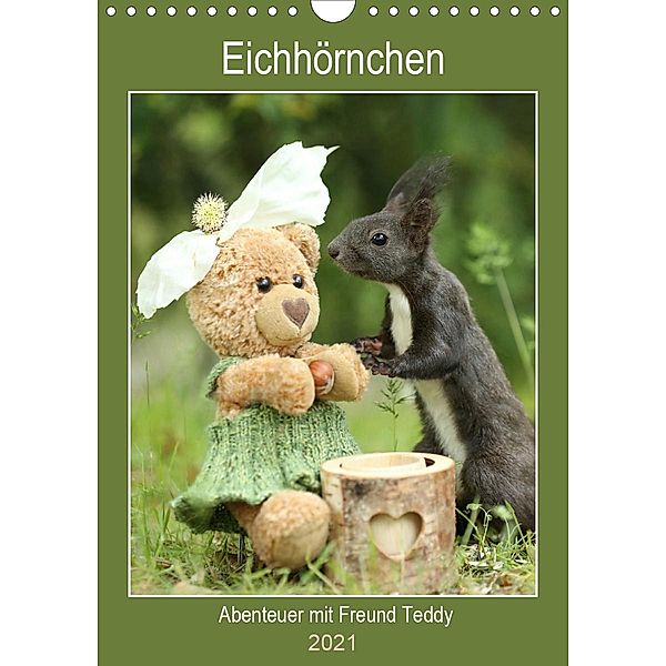 Eichhörnchen - Abenteuer mit Freund Teddy (Wandkalender 2021 DIN A4 hoch), Birgit Cerny