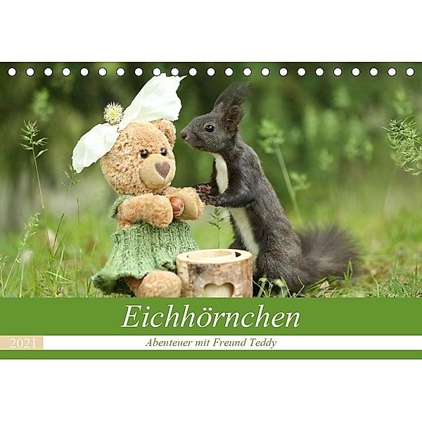 Eichhörnchen - Abenteuer mit Freund Teddy (Tischkalender 2021 DIN A5 quer), Birgit Cerny