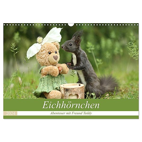 Eichhörnchen - Abenteuer mit Freund Teddy (Wandkalender 2024 DIN A3 quer), CALVENDO Monatskalender, Birgit Cerny