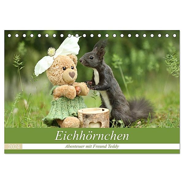 Eichhörnchen - Abenteuer mit Freund Teddy (Tischkalender 2024 DIN A5 quer), CALVENDO Monatskalender, Birgit Cerny