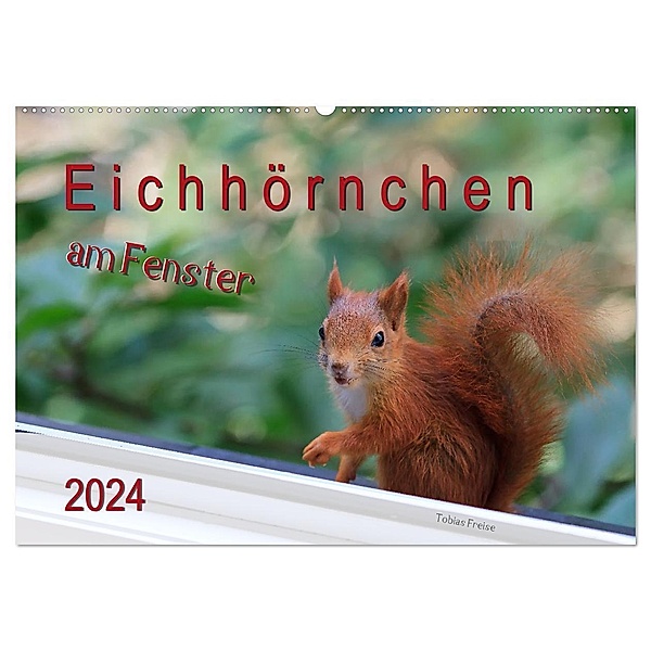 Eichhörnchen am Fenster (Wandkalender 2024 DIN A2 quer), CALVENDO Monatskalender, Tobias Freise
