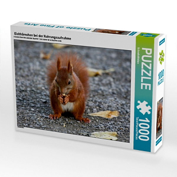 Eichhörnchen bei der Nahrungsaufnahme (Puzzle), SchnelleWelten