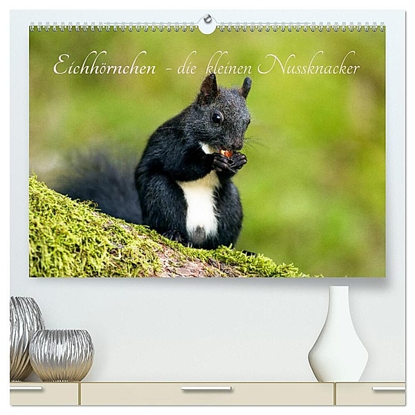 Eichhörnchen - die kleinen Nussknacker (hochwertiger Premium Wandkalender 2024 DIN A2 quer), Kunstdruck in Hochglanz, Alena Holtz