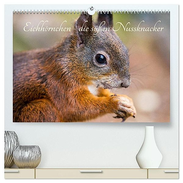Eichhörnchen - die süßen Nussknacker (hochwertiger Premium Wandkalender 2025 DIN A2 quer), Kunstdruck in Hochglanz, Calvendo, Alena Holtz