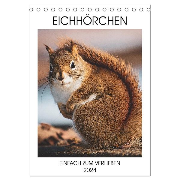 Eichhörnchen - Einfach zum Verlieben (Tischkalender 2024 DIN A5 hoch), CALVENDO Monatskalender, Same