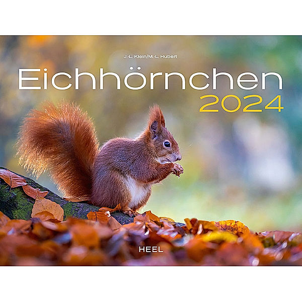 Eichhörnchen Eintragkalender 2024, Klein