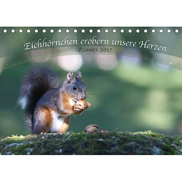 Eichhörnchen erobern unsere Herzen (Tischkalender 2017 DIN A5 quer), Birgit Cerny