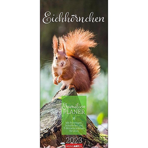 Eichhörnchen Familienplaner 2023. Großer Foto-Terminkalender mit 5 Spalten und einer Ferienübersicht. Schöner Familien-W