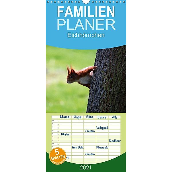 Eichhörnchen - Familienplaner hoch (Wandkalender 2021 , 21 cm x 45 cm, hoch), Schnellewelten