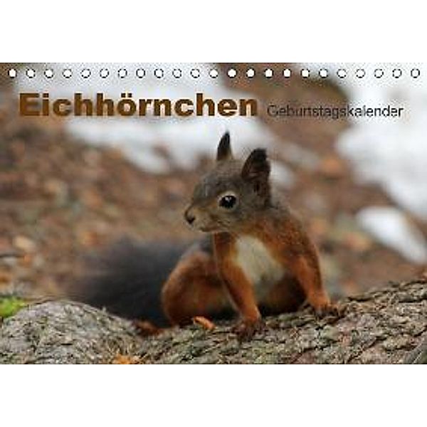 Eichhörnchen/Geburtstagskalender (Tischkalender 2016 DIN A5 quer), lajavi.com