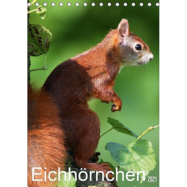 Eichhörnchen / Geburtstagskalender (Tischkalender 2021 DIN A5 hoch), Schnellewelten
