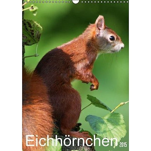 Eichhörnchen / Geburtstagskalender (Wandkalender 2015 DIN A3 hoch), SchnelleWelten