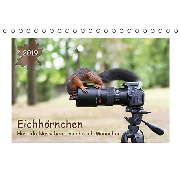 Eichhörnchen - Hast du Nüsschen mache ich Männchen (Tischkalender 2019 DIN A5 quer), Birgit Cerny