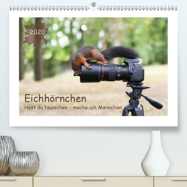 Eichhörnchen - Hast du Nüsschen mache ich Männchen (Premium-Kalender 2020 DIN A2 quer), Birgit Cerny