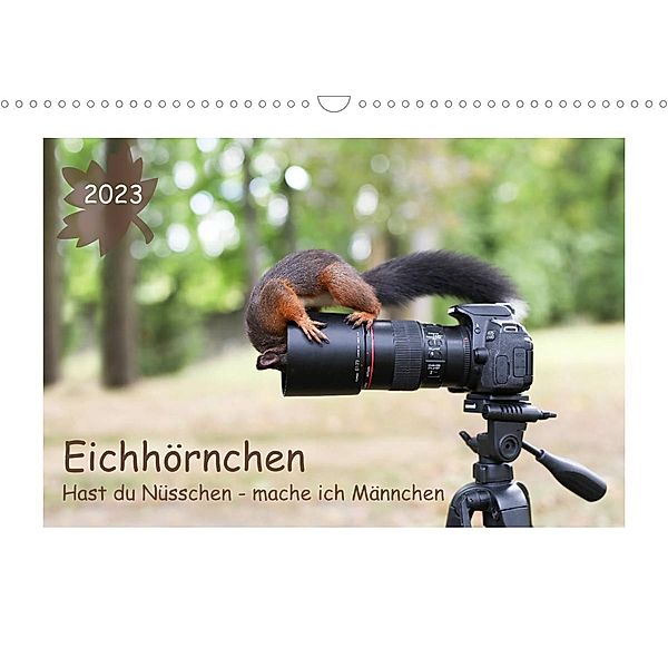 Eichhörnchen - Hast du Nüsschen mache ich Männchen (Wandkalender 2023 DIN A3 quer), Birgit Cerny