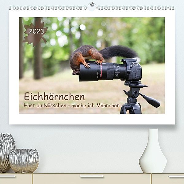 Eichhörnchen - Hast du Nüsschen mache ich Männchen (Premium, hochwertiger DIN A2 Wandkalender 2023, Kunstdruck in Hochgl, Birgit Cerny