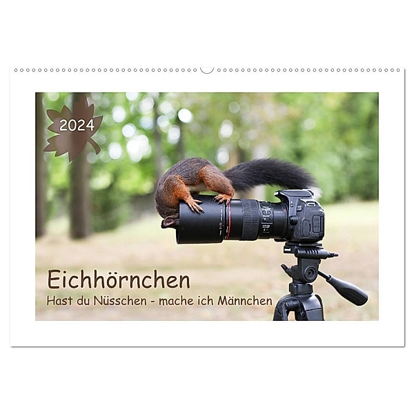 Eichhörnchen - Hast du Nüsschen mache ich Männchen (Wandkalender 2024 DIN A2 quer), CALVENDO Monatskalender, Birgit Cerny