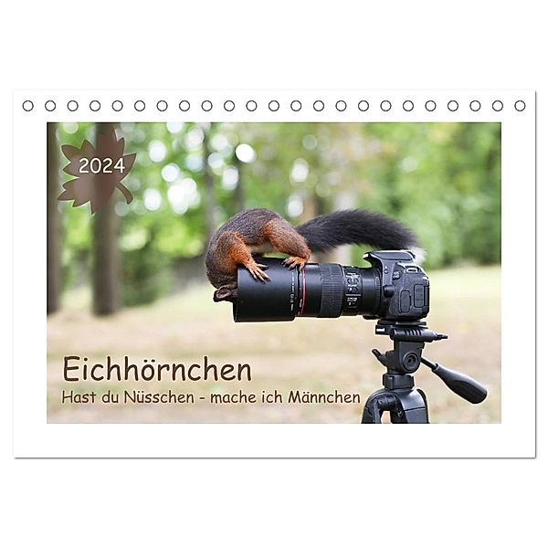 Eichhörnchen - Hast du Nüsschen mache ich Männchen (Tischkalender 2024 DIN A5 quer), CALVENDO Monatskalender, Birgit Cerny