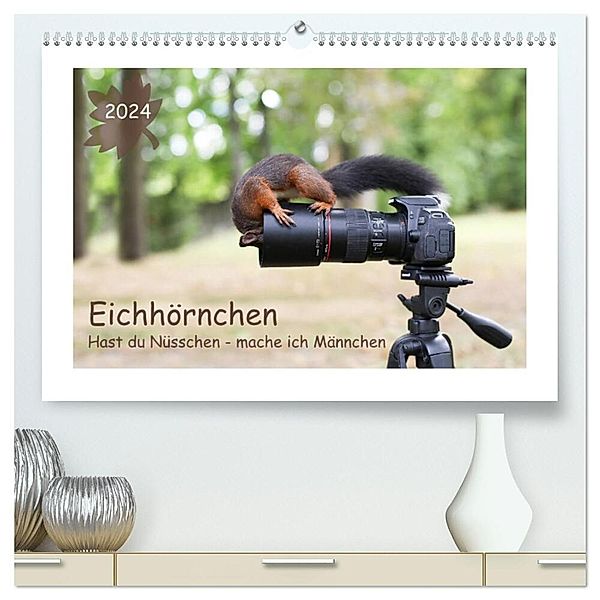 Eichhörnchen - Hast du Nüsschen mache ich Männchen (hochwertiger Premium Wandkalender 2024 DIN A2 quer), Kunstdruck in Hochglanz, Birgit Cerny