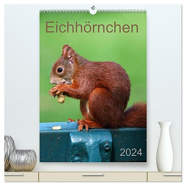 Eichhörnchen (hochwertiger Premium Wandkalender 2024 DIN A2 hoch), Kunstdruck in Hochglanz, Schnellewelten