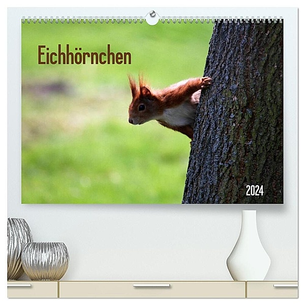Eichhörnchen (hochwertiger Premium Wandkalender 2024 DIN A2 quer), Kunstdruck in Hochglanz, Schnellewelten